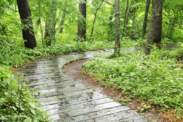 <p>The path from the church</p>