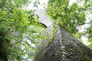 <p>The angular architecture is fascinating</p>