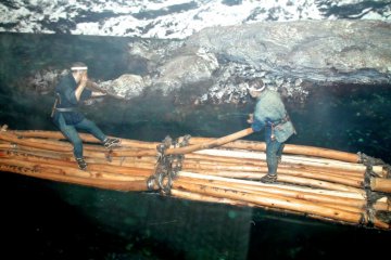 Exhibit showing lumber industry