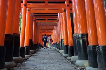 Fushimi Inari Shrine, Day and Night