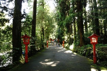<p>Jalan masuk menuju Hakone Jinja Shrine yang ditumbuhi pohon cedar yang sudah berusia ratusan tahun</p>