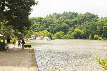 <p>You can rent a boat or a skiff on the lake &nbsp;</p>