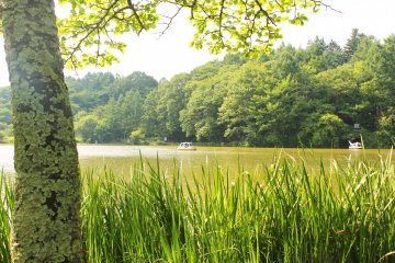 <p>You can get a lovely view from skiffs and boats</p>
