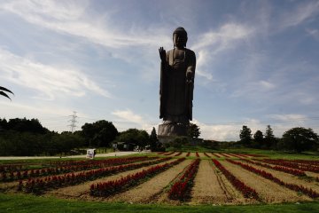 <p>Taman yang mengelilingi area Daibutsu di musim panas ketika bunga musiman mulai bermekaran</p>
