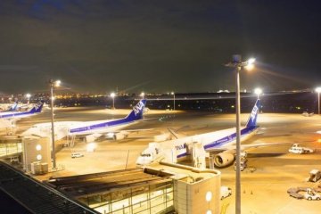 <p>La reprise des vols entre l'a&eacute;roport d'Haneda et Sydney se fera &agrave; partir du 11 d&eacute;cembre 2015.</p>