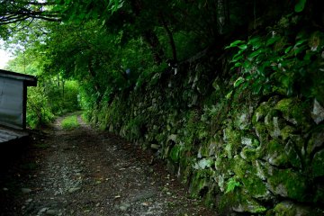 <p>The road leading to the Donguri House</p>