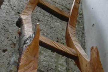 Shop interior: wooden ladder