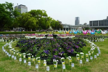 Beautiful flowers