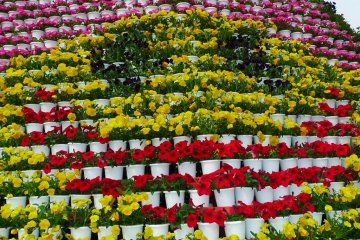 Flower Power Tower