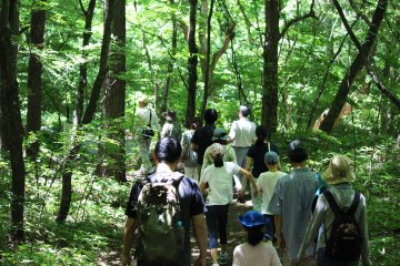 <p>A eco-tourism tour</p>
