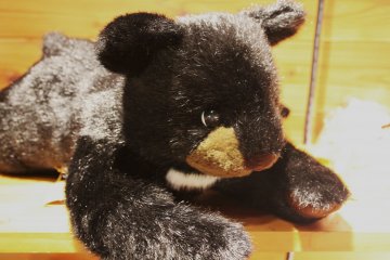 <p>The gift shop helps the eco-tourism centre raise money to continue their conservation</p>