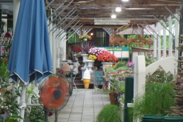 <p>Follow the ice-cream through to the right-hand side of the garden center</p>