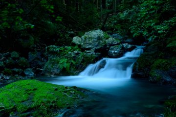 <p>Sungai kecil di tengah hutan</p>