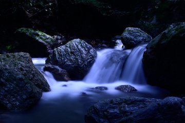 <p>Sungai kecil ketiga di tengah hutan</p>