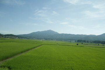 <p>The view from the window.&nbsp;</p>