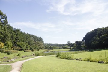 <p>Following the path towards the play ground.&nbsp;</p>