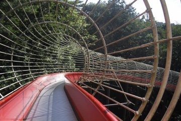 <p>Going down the large 185 metre slide.&nbsp;</p>