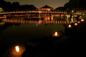 Nara Tokae Lantern Festival