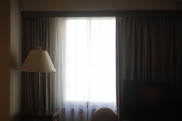 <p>The window.</p>