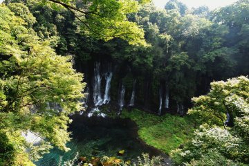 <p>Looking down at the falls from the trail</p>