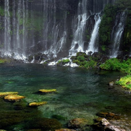 Things to Do in Shizuoka
