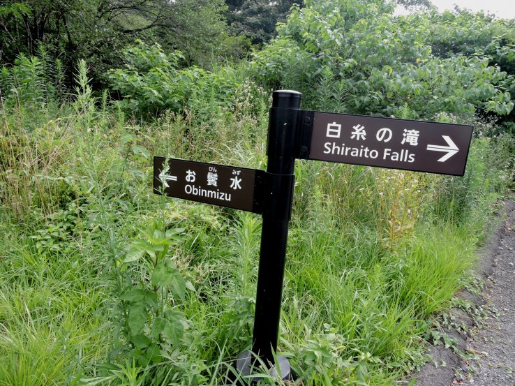 <p>The paths are well signposted and easy to follow</p>