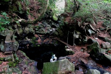 <p>Obinmizu Pool has pure drinking quality water</p>