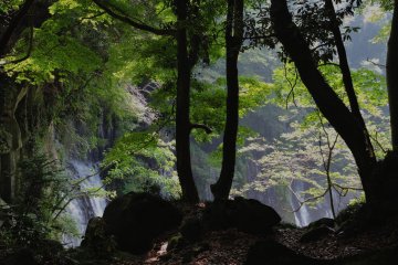 <p>First glimpse of Shiraito Falls</p>
