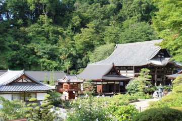 <p>The main buildings and garden of Okadera from the pagoda</p>