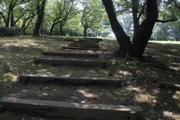 <p>Steps walking up to an large green area.&nbsp;</p>
