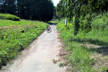 <p>The lowest point in the road, it often gets flooded here</p>