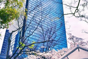 <p>One thing this city has managed to do that immediately struck me, is maintain a sense of co-existence. Man and nature, skyscrapers and blooming sakura.&nbsp;</p>