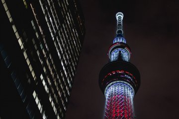 <p>Looking up at the Tokyo Skytree by night</p>
