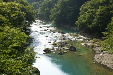 Cette rivière était autrefois trop acide pour accueillir toute forme de vie sauvage