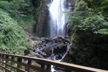 Au bout de 30min de marche vous croiserez la cascade Mikaeri