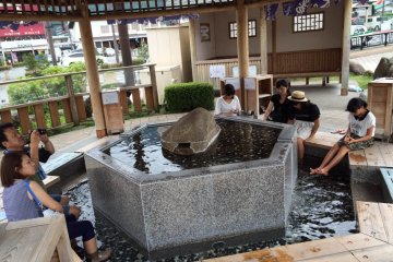 <p>Take a break in a relaxing setting.</p>