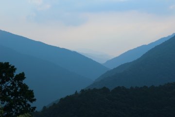 <p>More Totsukawa mountain scenery</p>