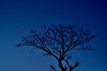<p>Stars shine on you</p>