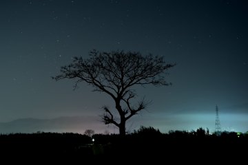 <p>Nightscape on the island</p>