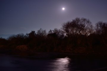 <p>Nightscape around the bridge</p>