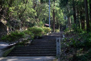 <p>The temple is up there, beyond 333 steps</p>