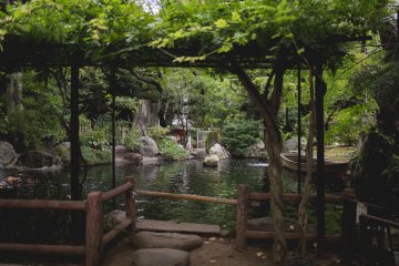<p>Koi pond at Atago Jinja shrine</p>