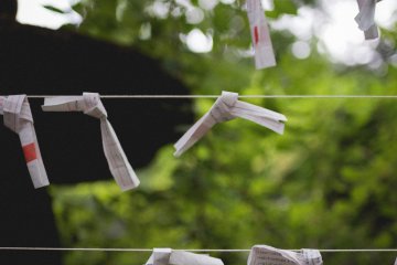 <p>Omikuji with fortunes on, left by visitors</p>