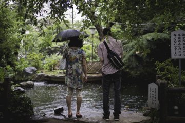 <p>In a world away from the city, feeding the Koi</p>
