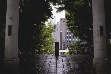 <p>Peak through the window to the outside world</p>
