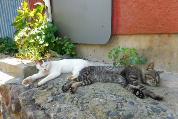 Two's company