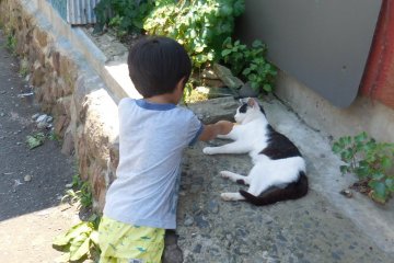 Don`t make me eat your finger! Me-ow!