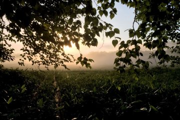<p>The morning view looking away from Mt. Shibtsu in Oze National Park in Gunma Prefecture.</p>