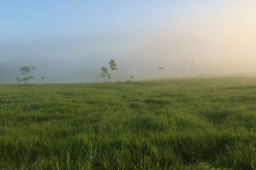 <p>Morning mist makes it difficult to see into the distance.&nbsp;</p>