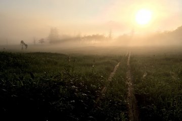 <p>Mist covers the area.</p>